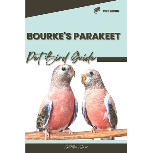 Bourke's Parakeet: Pet bird guide - Paperback