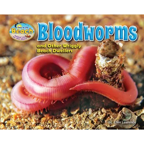 Bloodworms and Other Wriggly Beach Dwellers - Library Binding
