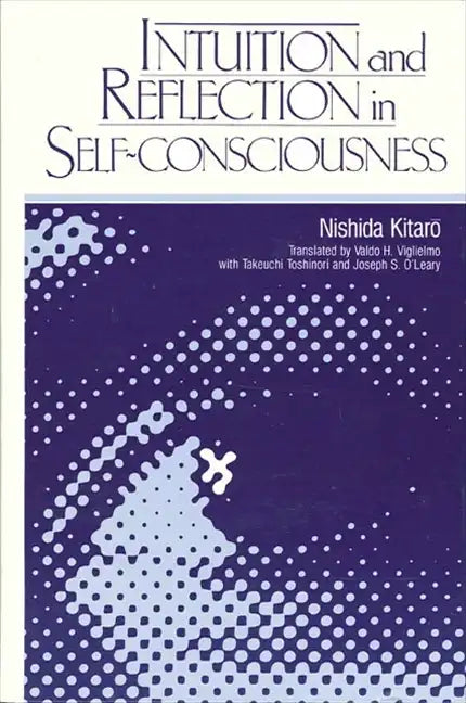 Intuition and Reflection in Self-Consciousness - Paperback