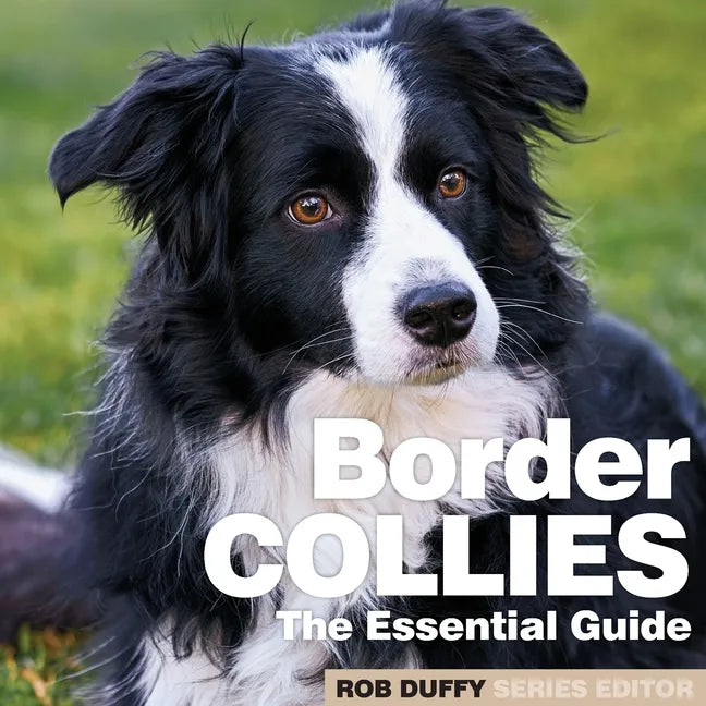 Border Collies: The Essential Guide - Paperback