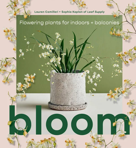 Bloom: Flowering Plants for Indoors and Balconies - Hardcover