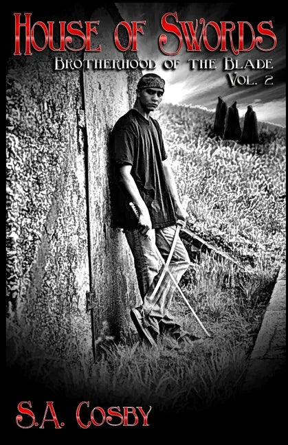 Brotherhood of the Blade: Vol 2: House of Swords - Paperback