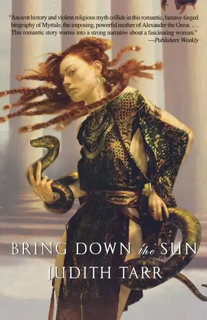 Bring Down the Sun - Paperback