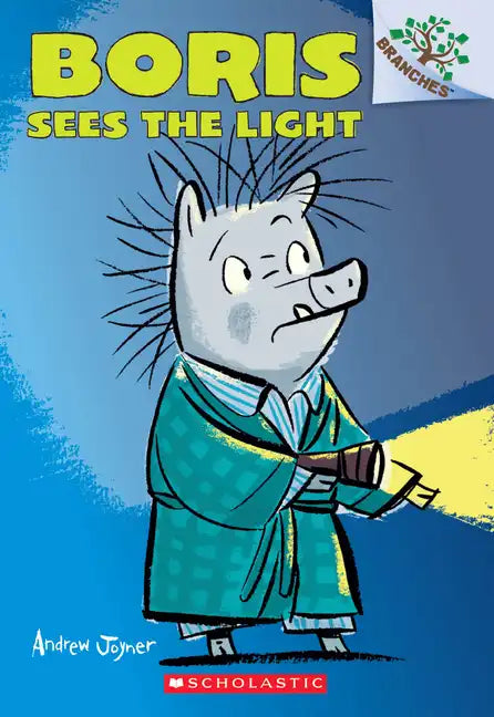 Boris Sees the Light: A Branches Book (Boris #4): Volume 4 - Paperback