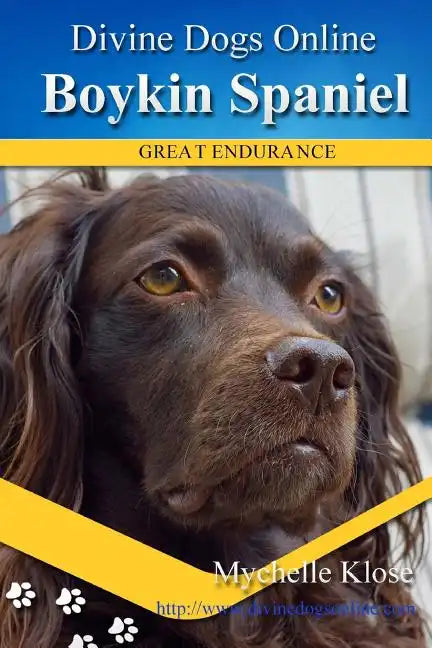 Boykin Spaniels: Divine Dogs Online - Paperback
