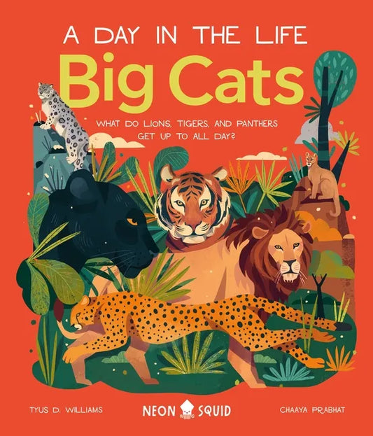 Big Cats (a Day in the Life): What Do Lions, Tigers, and Panthers Get Up to All Day? - Hardcover