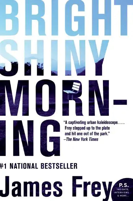 Bright Shiny Morning - Paperback