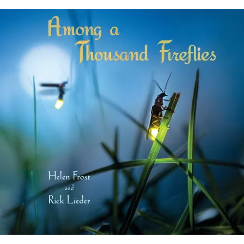 Among a Thousand Fireflies - Hardcover