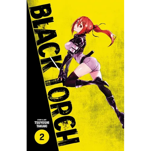 Black Torch, Vol. 2 - Paperback