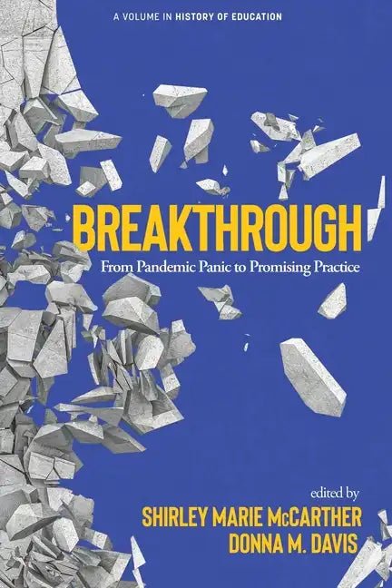 Breakthrough: From Pandemic Panic to Promising Practice - Paperback