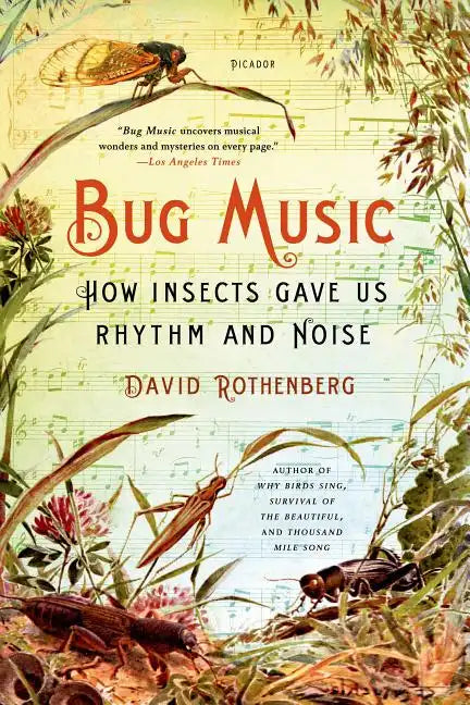 Bug Music - Paperback