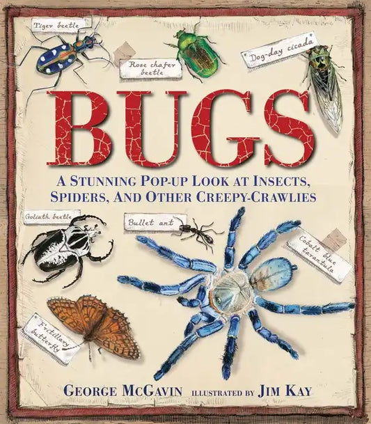 Bugs: A Stunning Pop-Up Look at Insects, Spiders, and Other Creepy-Crawlies - Hardcover