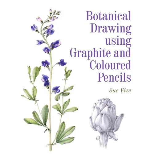 Botanical Drawing Using Graphite and Coloured Pencils - Paperback