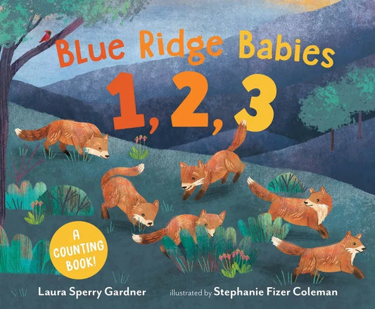 Blue Ridge Babies 1, 2, 3: A Counting Book - Hardcover