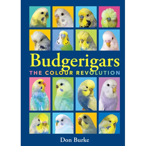Budgerigars: The Color Revolution - Paperback