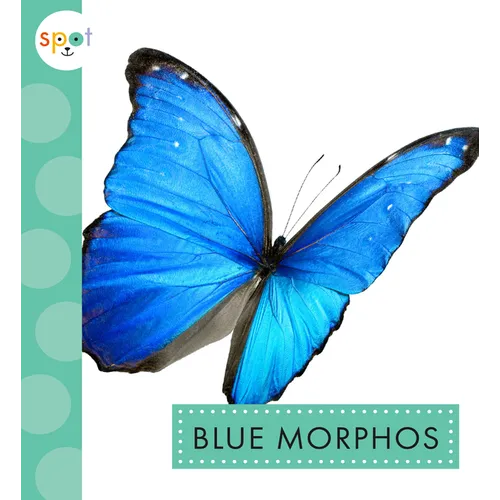 Blue Morphos - Paperback