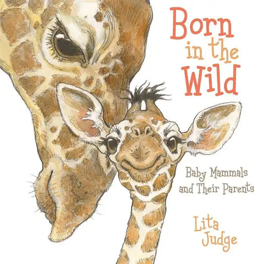 Born in the Wild: Baby Animals and Their Parents - Board Book