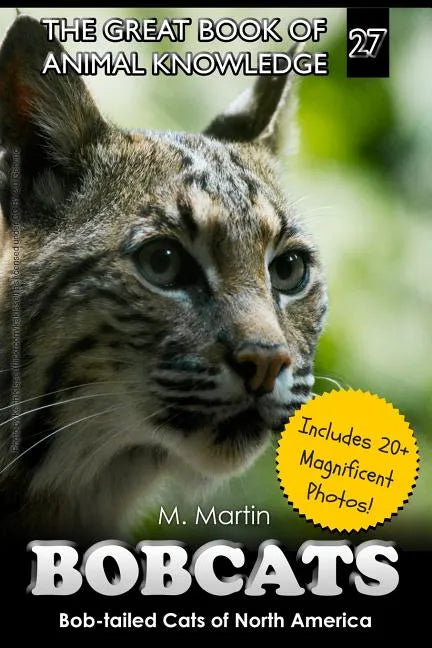 Bobcats: Bob-tailed Cats of North America - Paperback