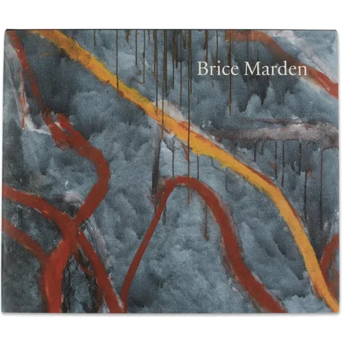 Brice Marden: Let the Painting Make You - Hardcover