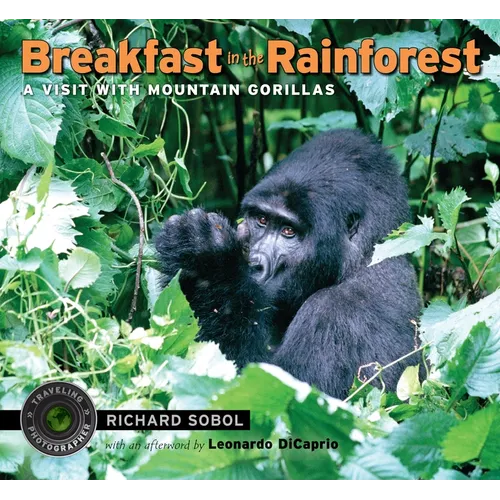 Breakfast in the Rainforest: A Visit with Mountain Gorillas - Paperback