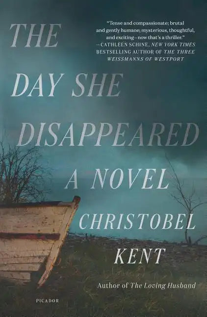 Day She Disappeared - Paperback