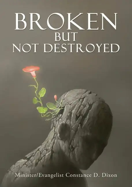 Broken but Not Destroyed - Paperback