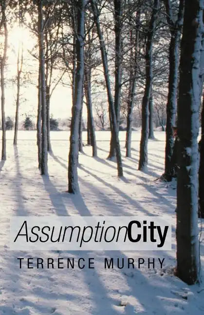 Assumption City - Paperback