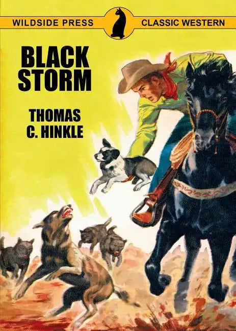 Black Storm - Paperback
