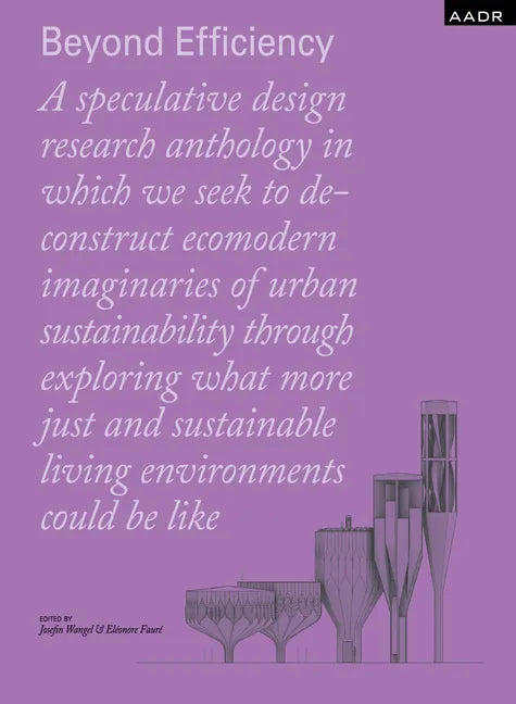 Beyond Efficiency - Paperback