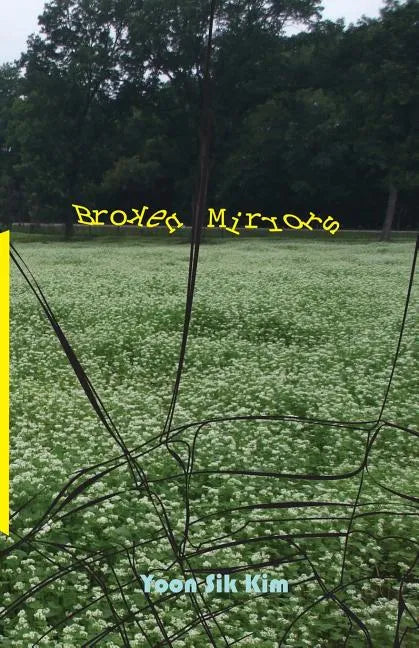 Broken Mirrors - Paperback