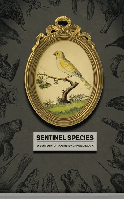 Sentinel Species - Paperback