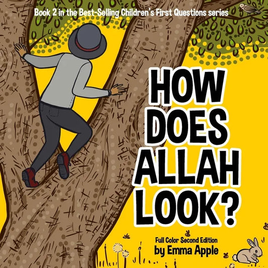 How Does Allah Look? - Paperback