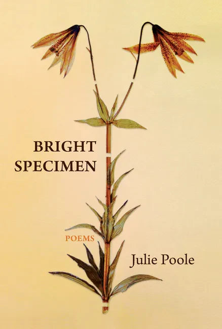 Bright Specimen - Paperback