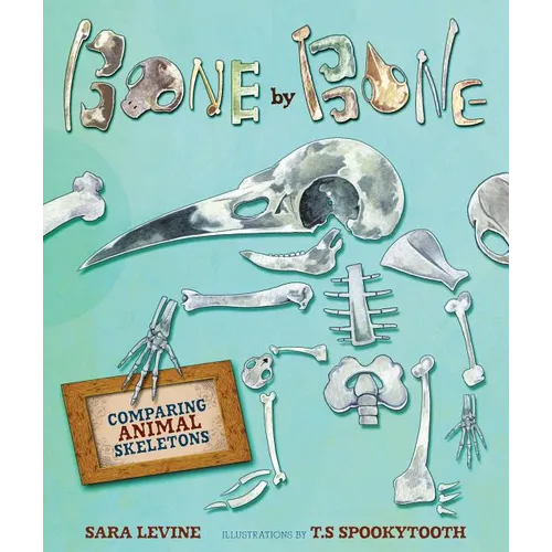 Bone by Bone: Comparing Animal Skeletons - Library Binding