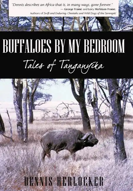 Buffaloes by My Bedroom - Hardcover