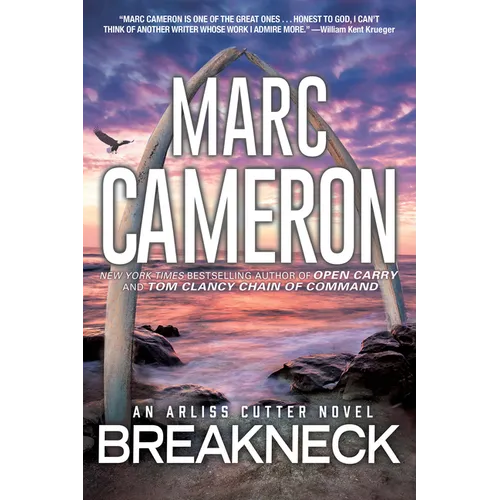 Breakneck: A Captivating Novel of Suspense - Paperback