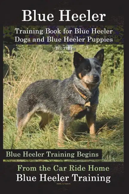 Blue Heeler Training Book for Blue Heeler Dogs and Blue Heeler Puppies By D!G THIS Dog Training: Blue Heeler Training Begins From the Car Ride Home Bl - Paperback