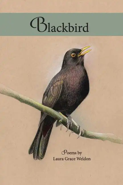 Blackbird: poems - Paperback