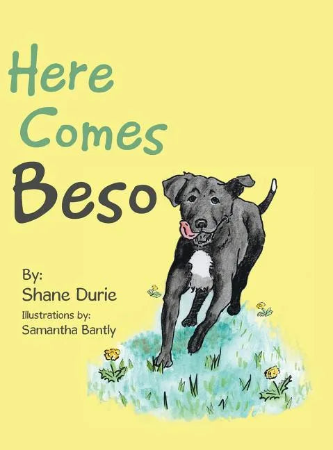 Here Comes Beso - Hardcover