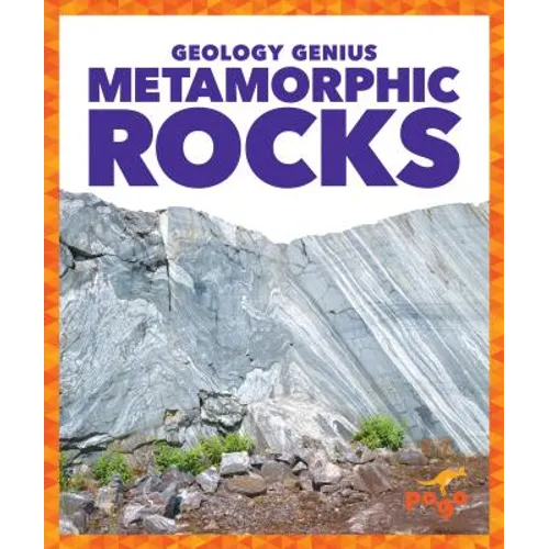 Metamorphic Rocks - Hardcover