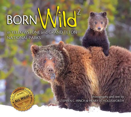 Born Wild 2: In Yellowstone and Grand Teton National Parks - Paperback
