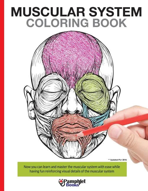 Muscular System Coloring Book: With colored illustrations like what you see on the back page - Paperback