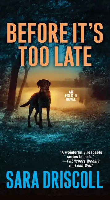 Before It's Too Late - Paperback