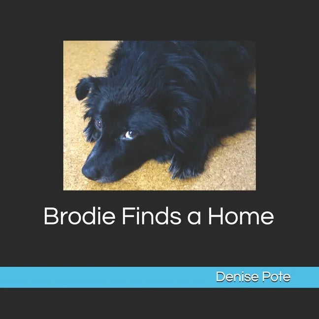 Brodie Finds a Home: Book 1 - Paperback