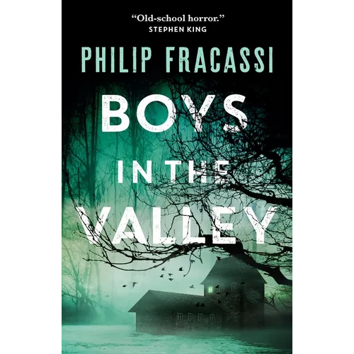 Boys in the Valley - Paperback