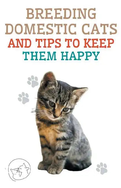 Breeding Domestic Cats and Tips to Keep Them Happy - Paperback