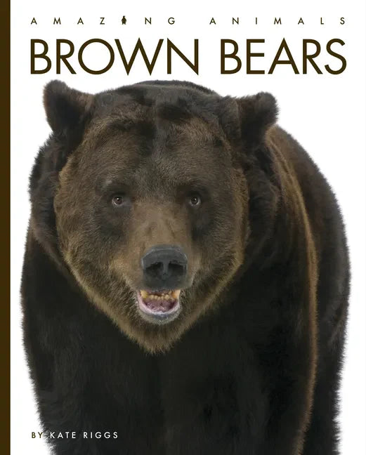 Brown Bears - Paperback