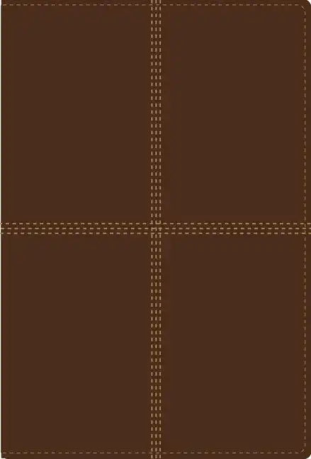Bilingual Bible-PR-NIV/Rvr 1960 - Imitation Leather