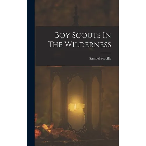 Boy Scouts In The Wilderness - Hardcover