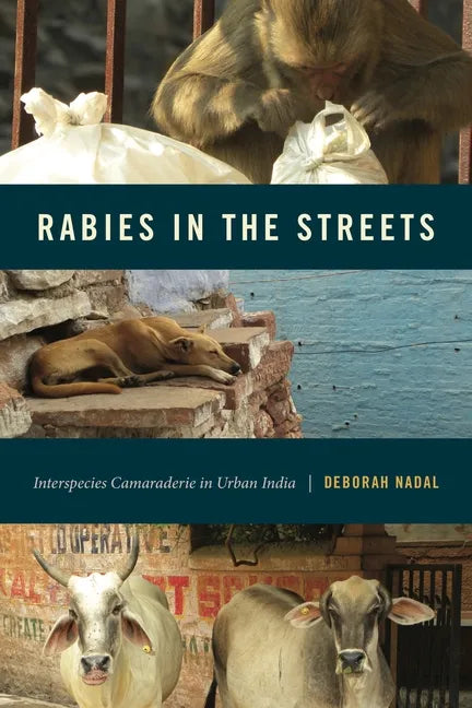 Rabies in the Streets: Interspecies Camaraderie in Urban India - Paperback